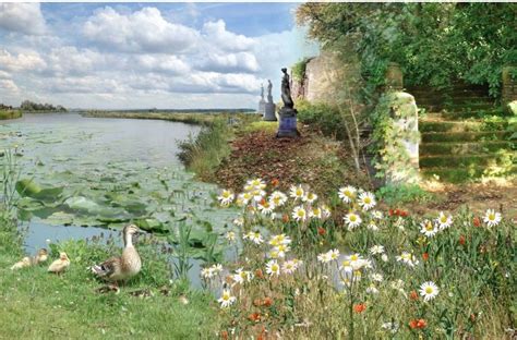 Camomille Au Bord De L Eau Puzzle En Ligne