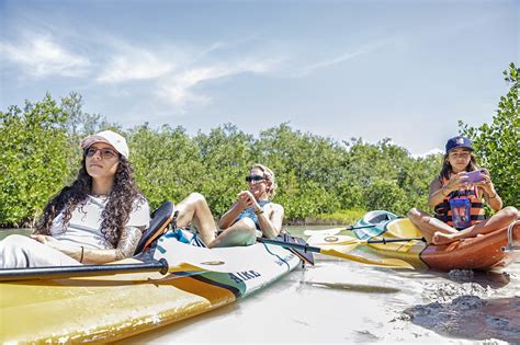 Kayaking Through The Mangroves Vip Holbox Experience