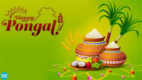 Pongal History Significance And Celebrations Of The Harvest