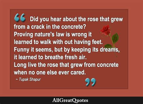 ROSE QUOTES - TOP 288 sayings about roses from AllGreatQuotes