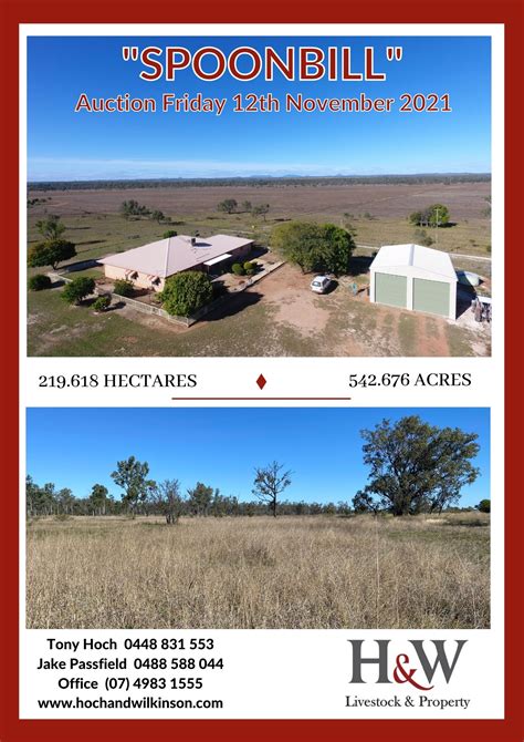 Spoonbill Road Clermont Qld Sold Rural Farming