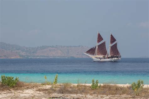 Greentours Natural History Holidays Raja Ampat