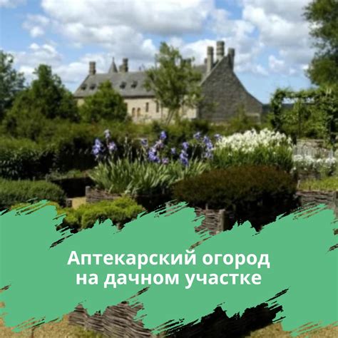 Все Сорта - интернет-магазин саженцев | ВКонтакте