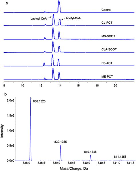 Lc Ms Ms Analysis Of The Reaction Mixture A Total Ion Chromatograph Of