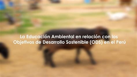 EDUCACIÓN AMBIENTAL EN RELACIÓN CON LOS ODS UCSUR YouTube