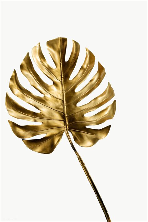 Golden Leaves Png Gold Leaf Png Images Pngwing Illustration Wester