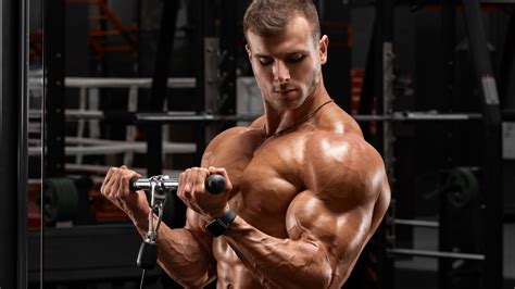 Try This Shoulder And Biceps Workout To Build Muscle Barbend