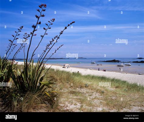 Channel Islands Herm Shell Beach View Of The Sandy Beach Popular With