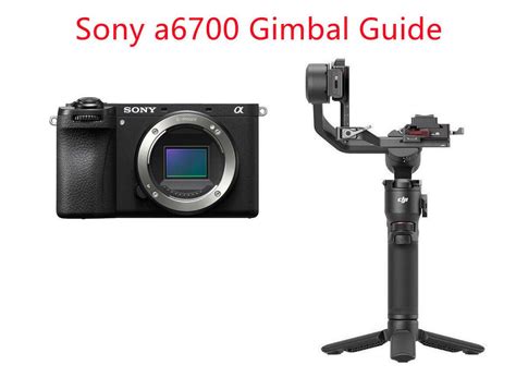 Best Gimbals For Sony A Camera Times