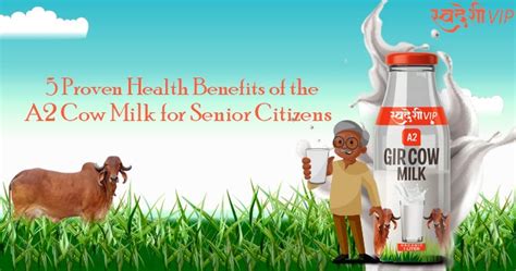 5 Proven Health Benefits of the A2 Cow Milk for Senior Citizens