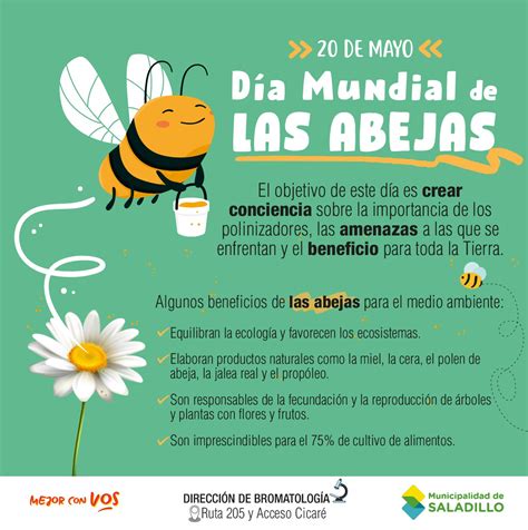 20 De Mayo Día Mundial De Las Abejas