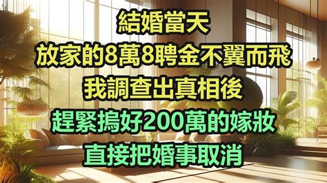 《完結文》結婚當天，放家的8萬8聘金不翼而飛，我調查出真相後，趕緊摀好200萬的嫁妝，直接把婚事取消《完結爽文》 Youtube