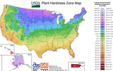 Understanding Gardening Zones - Homesteader DepotHomesteader Depot