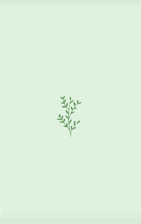 Sage Green Minimalist Wallpaper