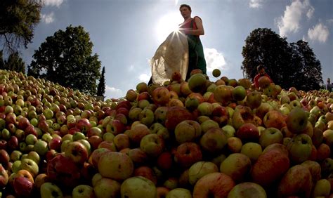 Razones Para Comer Una Manzana Al D A