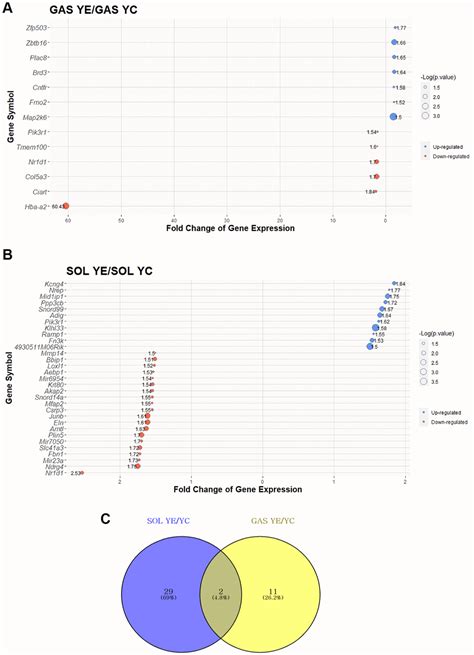 Muscle Fiber Type Dependence Effect Of Exercise On Genomic Networks In