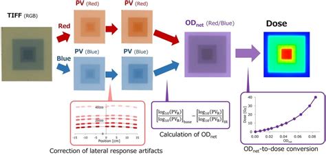 Scheme of the PV-to-dose conversion. The red and blue PVs are extracted ...