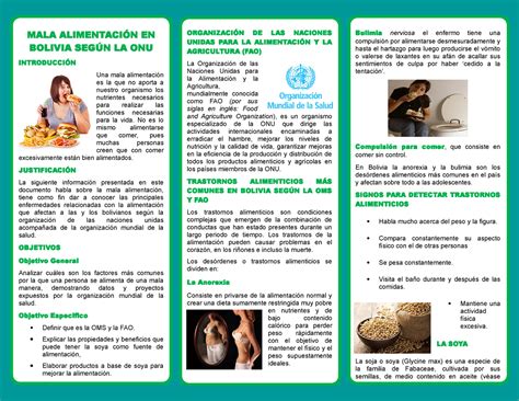 Triptico MALA Alimentación EN Bolivia Según LA ONU MALA ALIMENTACIÓN