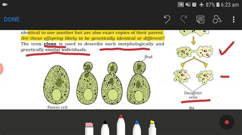 12th Class Biology Ncert Unit 1 Reproduction Lesson No 1 Reproduction In Organism Part 1