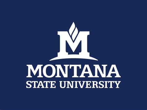 MSU Logo Guidelines - Creative Services | Montana State University