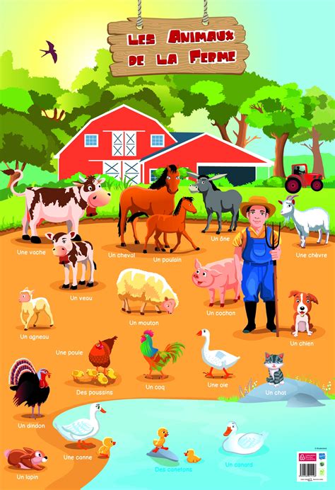 Poster P Dagogique Animaux De La Ferme X Cm