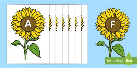 A-Z Alphabet on Sunflowers (Teacher-Made)