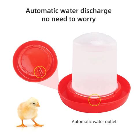 Chick Waterer Feeder Plastic Automatic Poultry Waterer Containers For