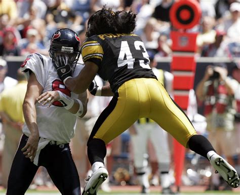 Troy Polamalu named to College Football Hall of Fame - pennlive.com