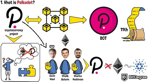 Qué es Polkadot Aprenda TODO sobre la red Polkadot