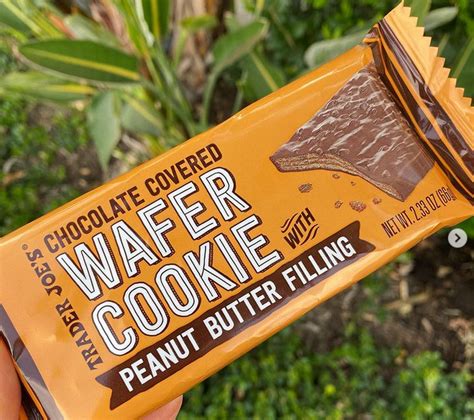 Trader Joes Chocolate Covered Wafer Cookie With Peanut Butter Filling