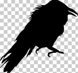 Drawing Crow Silhouette PNG, Clipart, American Crow, Animals, Art, Beak, Bird Free PNG Download