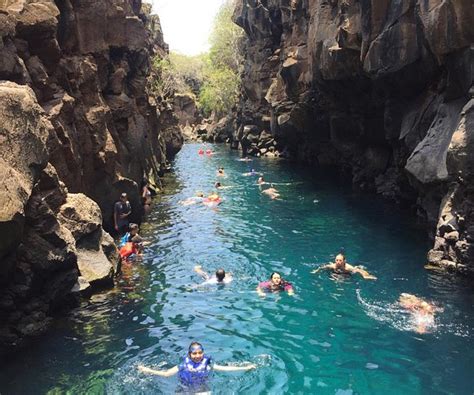 Tour De Bahia Puerto Ayora Get Travel Galapagos Agency Tours