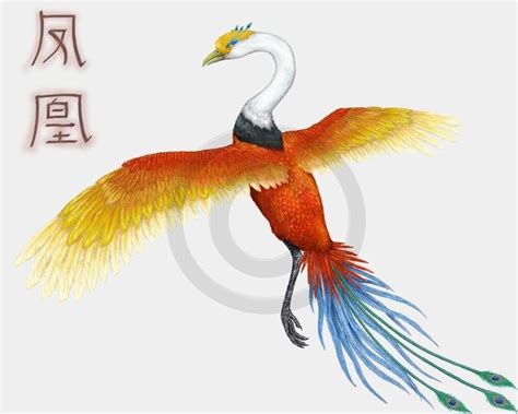 Mythical Birds Mythological Creatures Mythical Creatures