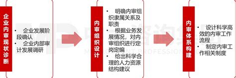 风控合规与财务管理企业内部审计职能体系建设 内部审计 中大咨询