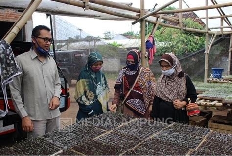 Dosen Um Metro Ajak Masyarakat Hidup Sehat Dengan Pertanian Organik