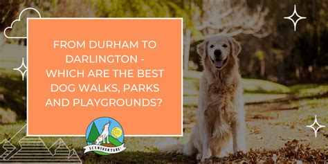 The Best Dog Parks In Durham And Darlington — Dogwood Adventure Play