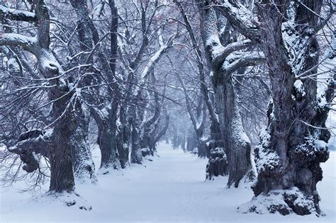 Winter in Bavaria :: Behance