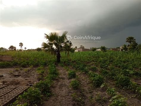 Terrains Vente Terrain 4 lots jumelés Adetikopé au Togo CoinAfrique