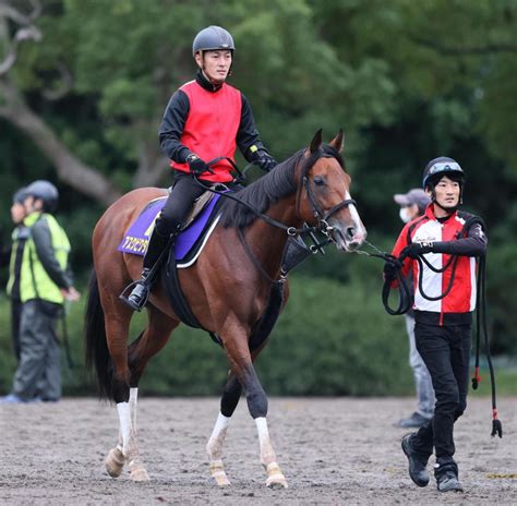 【菊花賞】アスクビクターモアはメンタル面向上 陣営「一つの曇りもありません」競馬・レースデイリースポーツ Online