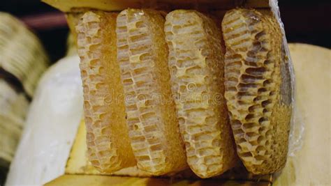 Honeycomb from Beehive with Honey Stock Image - Image of hexagon, macro ...