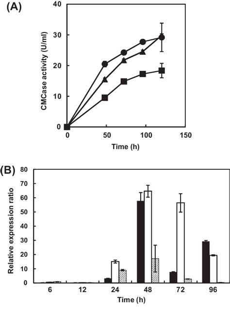 Time Dependent Cmcase Activity And Expression Of The Cel7b Gene Of The