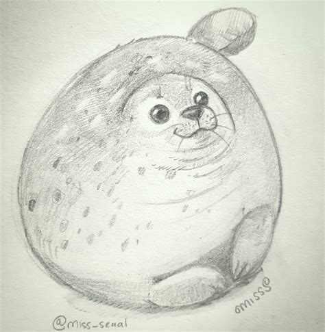 Ringed Seal Sketch Rsealsdoingthings