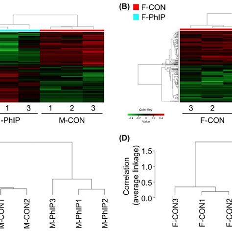 Hierarchical Clustering And Heatmap For Differentially Expressed Genes Download Scientific