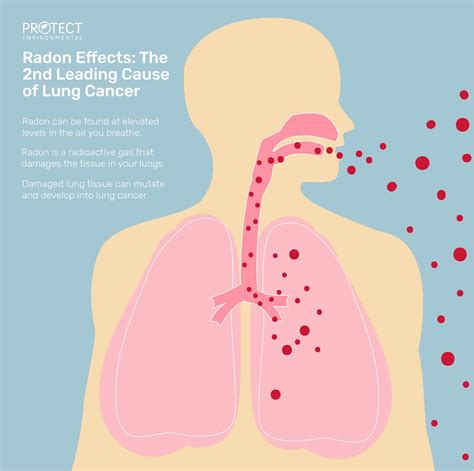 Radon And The Symptoms Of Radon Gas Poisoning Protect Environmental