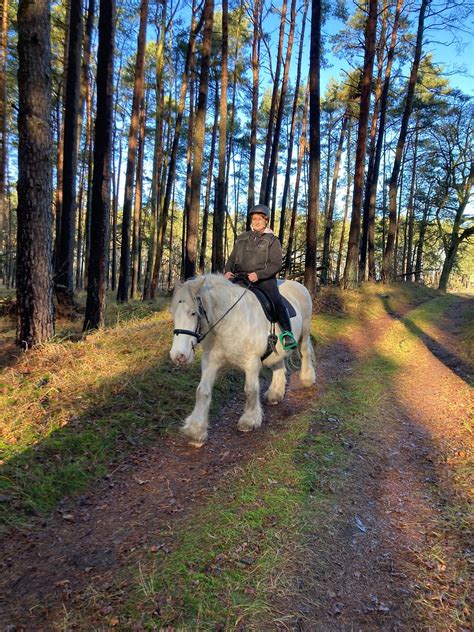 IMG WA Cowgirl Babe Flickr