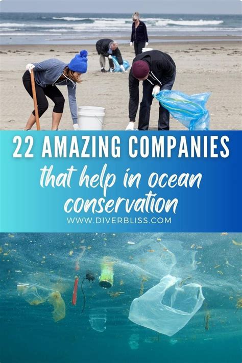 Protecting Our Blue Planet 22 Ocean Companies Ocean Conservation