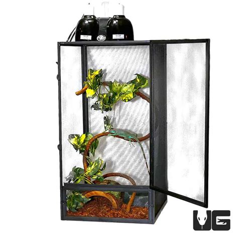 Green Iguana Cage