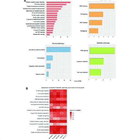 Comparisons Of Somatic Mutation Profiles Among The Bc Subtypes A Download Scientific