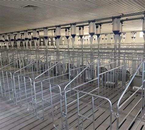 Sow Gestation Galvanized Pig Flooring Stall Farrowing Bed Sow Equipment