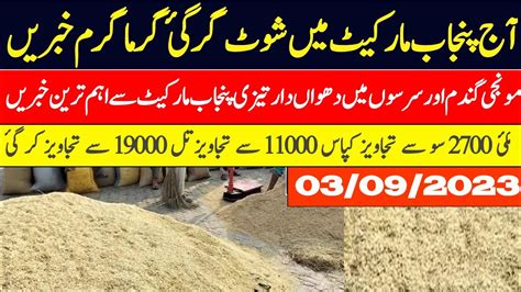 Munji Wheat Makki Cotton Sarson Till Rates Galla Mandi Rates